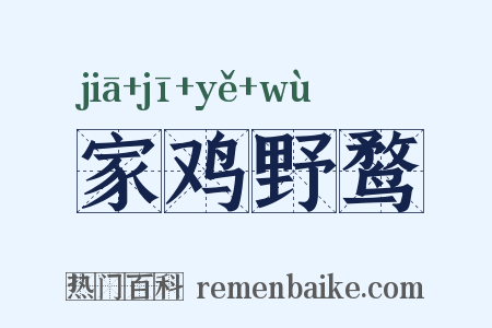 家鸡野鹜是什么意思的图片